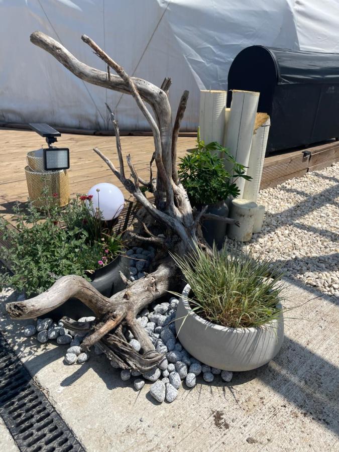 Maison Du Golf Costinești Εξωτερικό φωτογραφία